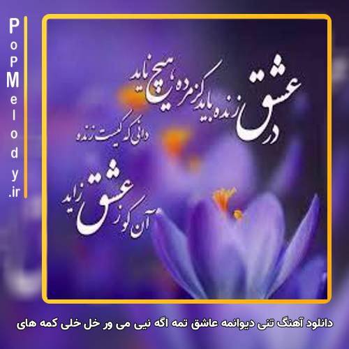 دانلود آهنگ تنی دیوانمه عاشق تمه اگه نیی می ور خل خلی